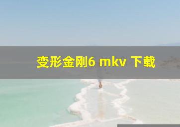 变形金刚6 mkv 下载